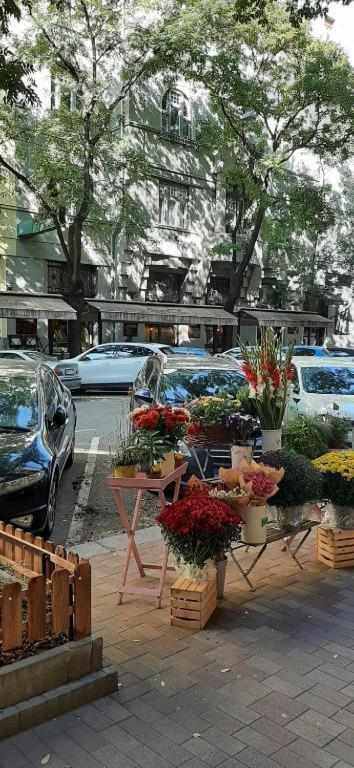 Apartman Cleopatra Budapest
